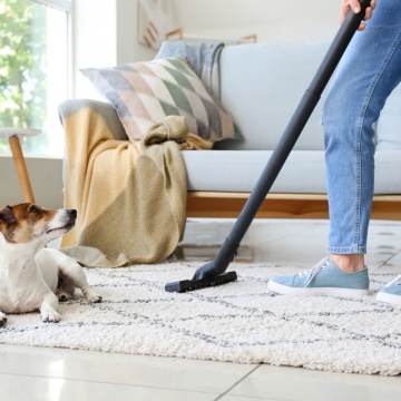 memphis cleaning house services